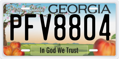 GA license plate PFV8804