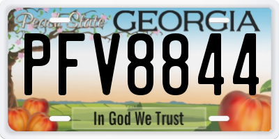 GA license plate PFV8844