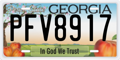 GA license plate PFV8917