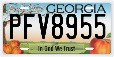 GA license plate PFV8955