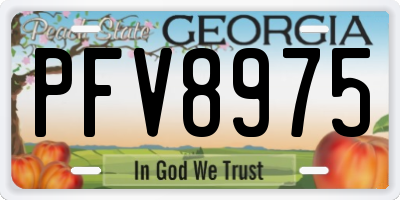 GA license plate PFV8975