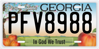 GA license plate PFV8988