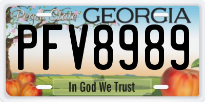 GA license plate PFV8989