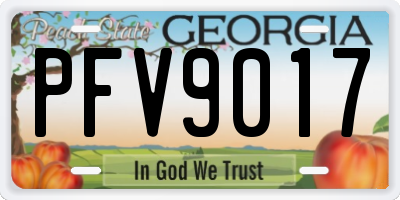 GA license plate PFV9017