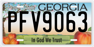 GA license plate PFV9063