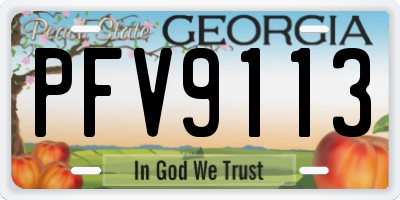 GA license plate PFV9113