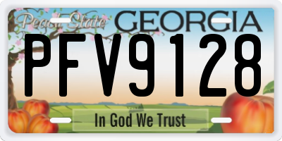 GA license plate PFV9128