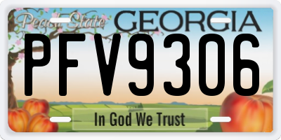 GA license plate PFV9306