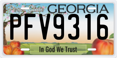 GA license plate PFV9316
