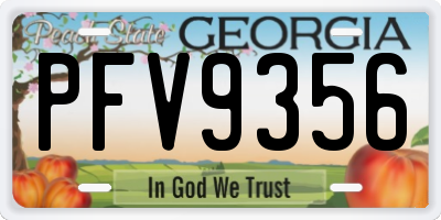 GA license plate PFV9356