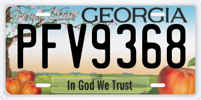 GA license plate PFV9368