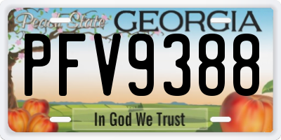GA license plate PFV9388