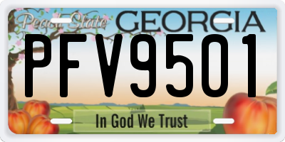 GA license plate PFV9501