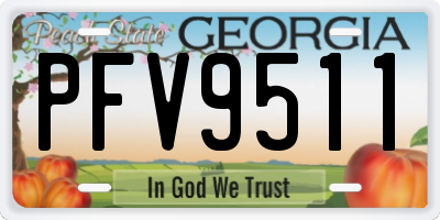 GA license plate PFV9511