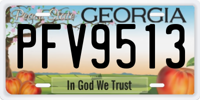 GA license plate PFV9513
