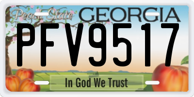 GA license plate PFV9517