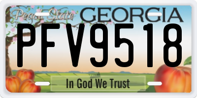 GA license plate PFV9518