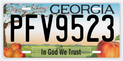 GA license plate PFV9523