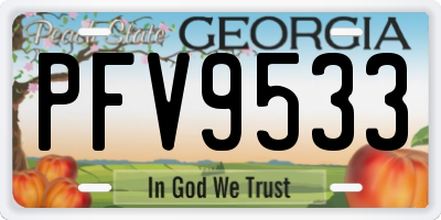 GA license plate PFV9533