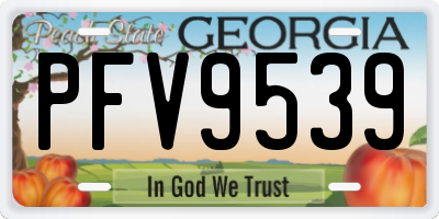 GA license plate PFV9539