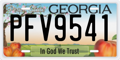 GA license plate PFV9541