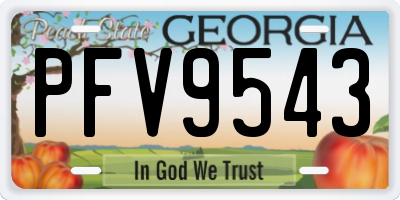 GA license plate PFV9543