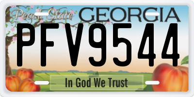 GA license plate PFV9544