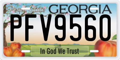 GA license plate PFV9560