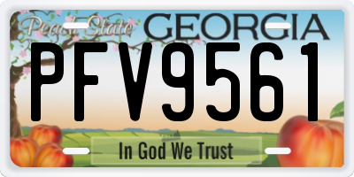 GA license plate PFV9561