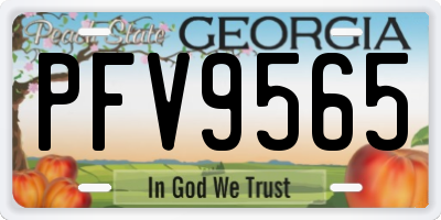 GA license plate PFV9565