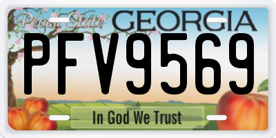 GA license plate PFV9569