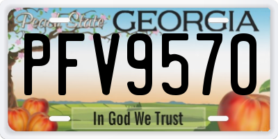 GA license plate PFV9570