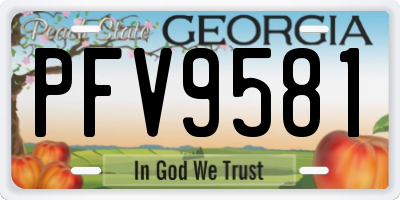 GA license plate PFV9581