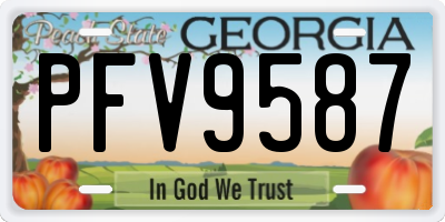 GA license plate PFV9587