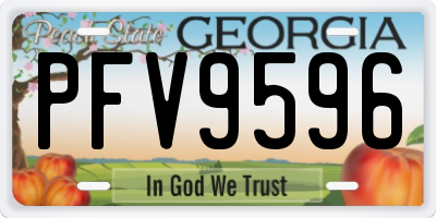 GA license plate PFV9596
