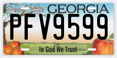 GA license plate PFV9599