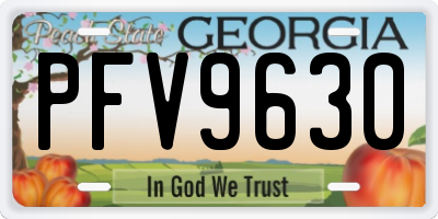 GA license plate PFV9630