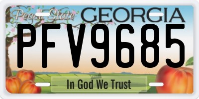 GA license plate PFV9685