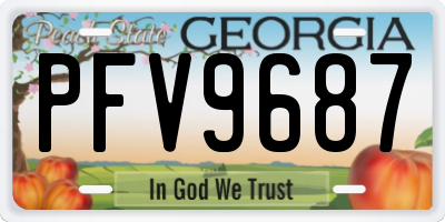 GA license plate PFV9687