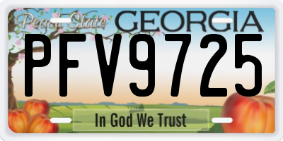GA license plate PFV9725