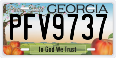 GA license plate PFV9737