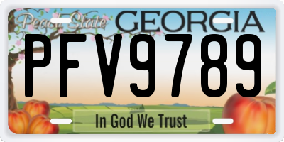 GA license plate PFV9789