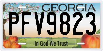 GA license plate PFV9823