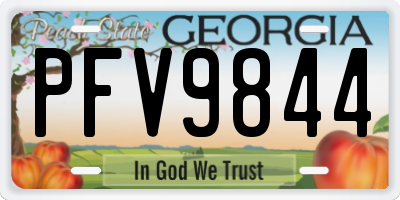 GA license plate PFV9844