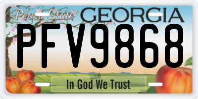 GA license plate PFV9868