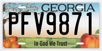GA license plate PFV9871