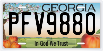 GA license plate PFV9880