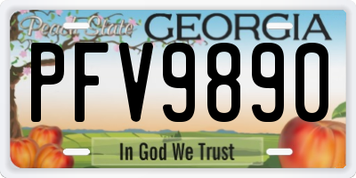 GA license plate PFV9890