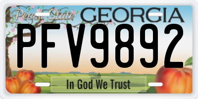 GA license plate PFV9892