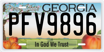 GA license plate PFV9896
